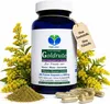 Echte Goldrute Solidago Goldrutenkraut 360 Kapseln - Nieren Produktbild-Vorschau 11