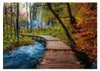 Puzzle Ravensburger Sentier forestier automnal - 1000 Voir les images du produit 2