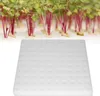 100Pcs Hydroponische Schwamm Pflanzung Gartenarbeit Produktbild-Vorschau 9