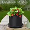 A strawberry plant in a fabric pot sits on a wooden surface, with a house and lawn in the background. Produktbild-Vorschau
