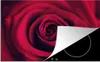 KitchenYeah© Herdabdeckplatte Rosen - Rot - Blumen , Produktbild-Vorschau 1