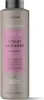Lakme Teknia Erfrischen Violett Lavendel Shampoo 1000ml Produktbild-Vorschau 1