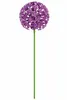 Gartenstecker Metall Allium lila Stecker Garten "ArtFerro" Produktbild-Vorschau 1