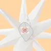 A close-up view of a white star-shaped decoration with a small inset showing a cluster of lights. Voir les images du produit