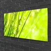 Acrylglasbilder 100x50 Wandbild Druck Gras Natur Produktbild-Vorschau 2