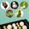10 Brutkästen, automatische Eierwende & Produktbild-Vorschau 5