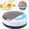 inkubátor na 9 vajec Digitální líheň drůbeže s automatickou Náhled obrázku produktu 6
