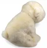 Carl Dick – sedící lední medvěd, cca 18 cm, plyšák, plyšová Náhled obrázku produktu 4