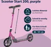A purple scooter with marketing information and icons. Produktbild-Vorschau