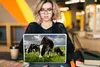 MuchoWow® Laptop Aufkleber Sticker Cover Kühe - Tiere - Produktbild-Vorschau 5