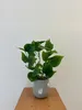Künstliche Topfpflanze Philodendron 38 cm für Home Office Produktbild-Vorschau 8