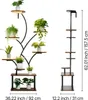 A multi-tiered plant stand with plants on each tier, shown next to a diagram of its dimensions. Anteprima dell’immagine prodotto