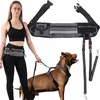 FIT4MED | Guinzaglio sportivo per cani - Grigio - Cintura Anteprima dell’immagine prodotto 1