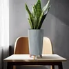 A snake plant in a gray pot with wooden legs sits on a table in front of a chair. Produktbild-Vorschau