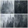 Gerahmtes Poster - Rahmen in heller Eiche - Wald Baum Natur Produktbild-Vorschau 9