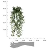 Sztuczna roślina PEPEROMIA, wisząca Podgląd zdjęcia produktu 3