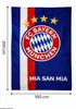 FC Bayern München Decke 150x200 cm Fleece Kuscheldecke FCB Produktbild-Vorschau 6