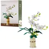 Stavebnice COIL play, kvety z kociek, phalaenopsis, Náhľad obrázku produktu 1