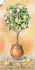 ARTland Poster Zitronenbaum I Größe: 50x100 cm Produktbild-Vorschau 1