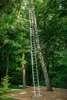 A tall, silver ladder leans against a tree in a wooded area, with a wooden deck in the foreground. Anteprima dell’immagine prodotto