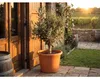 Nohel Doniczka ogrodowa CAMPANULA plastikowa d60x40cm Podgląd zdjęcia produktu 8