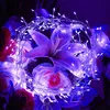 A close-up of a cluster string light wrapped around flowers. Produktbild-Vorschau