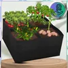 EDIBAZZAR | Gemüsekasten 60x60x30 cm, Kräuterbeet mit Produktbild-Vorschau 6