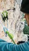 A person is using a climbing safety device on a rock face. Podgląd zdjęcia produktu