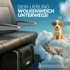 A puppy and a kitten sitting on clouds next to an airplane seat and a pet carrier. Produktbild-Vorschau