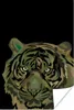MuchoWow® Poster Tiger - Camouflage - Kopf 120x180 cm - Produktbild-Vorschau 1