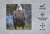 MuchoWow® Mauspad Mousepad Ein Weißkopfseeadler sitzt auf Produktbild-Vorschau 2