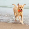 Happypet Hundespielzeug stark BONE sicher langlebig fetch Produktbild-Vorschau 7