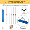 PawHut Hunde Agility Training Slalomstangen für Haustiere Produktbild-Vorschau 5