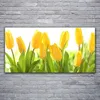 Acrylglasbilder 120x60 Wandbild Druck Tulpen Pflanzen Produktbild-Vorschau 2