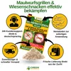 Power SC-Nematoden gegen Maulwurfsgrillen Wiesenschnaken & Produktbild-Vorschau 3