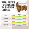 Esposita Einspännergeschirr "Pferdeglück" Braun Gr. Full Produktbild-Vorschau 2