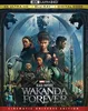 Black Panther: Wakanda Forever Produktbild-Vorschau 4