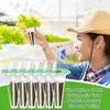120pcs hydroponisches Wachstum von Kit für aerogarden Produktbild-Vorschau 4
