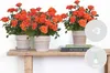 Bloomique - Zestaw 3 sztuk - Róża pomarańczowa doniczkowa - Podgląd zdjęcia produktu 2