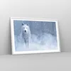 Gerahmtes Poster - Weißer Rahmen - Weiß Wolf Schnee - Produktbild-Vorschau 8