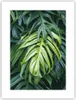 Poster - Poster ohne Rahmen - Blume Natur - 30x40 cm - Wand Produktbild-Vorschau 1