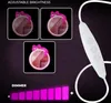 Collage of images showing a cat-shaped neon light with adjustable brightness and dimmer. Produktbild-Vorschau