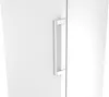 Bosch Serie 4 KSN36VWCG, 402 l, No-Frost-System, SN-T, 35 Produktbild-Vorschau 1