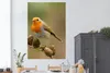 MuchoWow® Poster Vogel - Rotkehlchen - Tannenzapfen - Zweig Produktbild-Vorschau 2