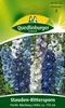 Stauden-Rittersporn, Pacific-Hybriden-Mischung Produktbild-Vorschau 3