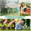 Outsunny fóliový skleník, skleník, pařeniště, dveře, Náhled obrázku produktu 6