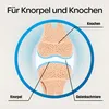 Dr. Böhm Knorpel & Knochen, 120 St. Tabletten Produktbild-Vorschau 3