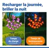 Maximex Solar LED Gartenstecker Orchideen, 2er Set, Produktbild-Vorschau 4