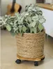 Nature Pflanzenroller Rund Ø30 cm Braun BPC Produktbild-Vorschau 2