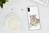MuchoWow® Handyhülle Schutzhülle Hülle für iPhone Xs Kitten Produktbild-Vorschau 6